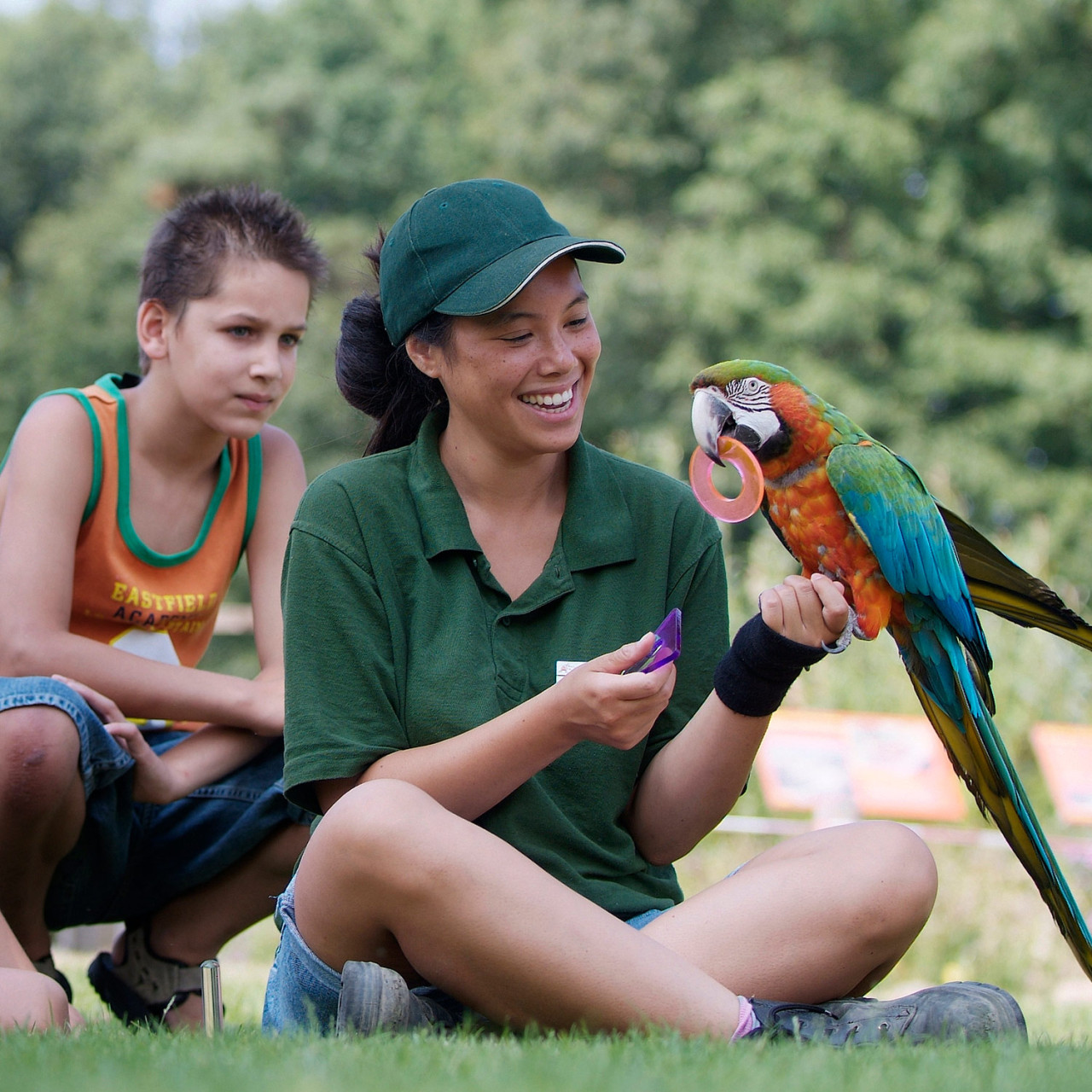 Ouwehands dierenpark groot
